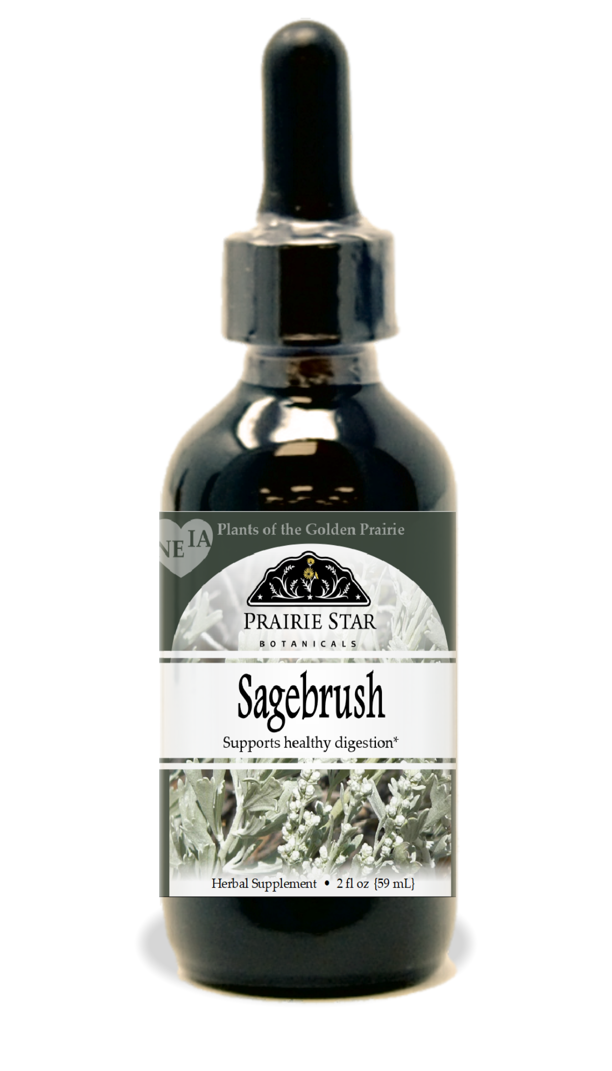 Sagebrush