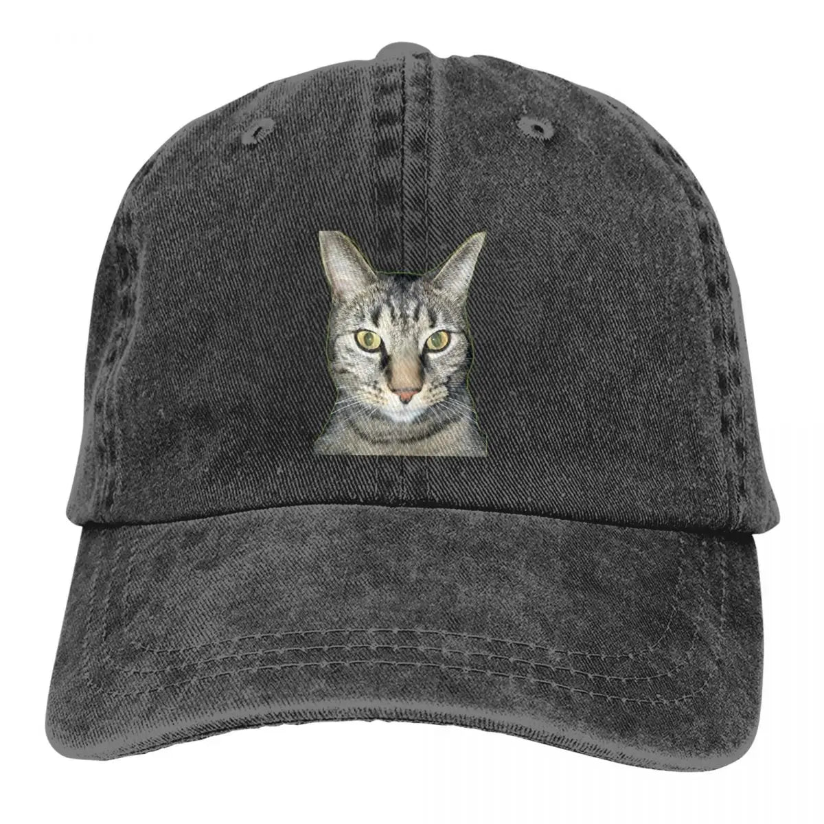 Tabby Cat Caps