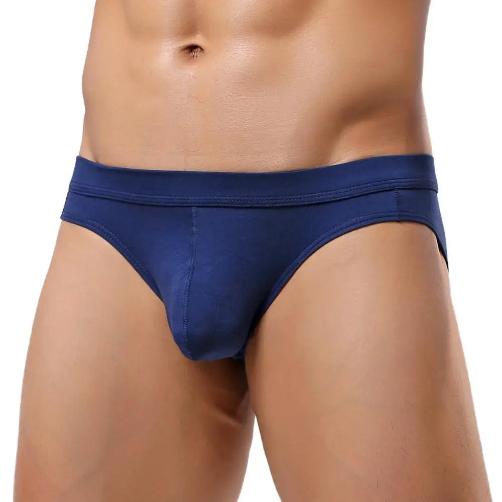 YUYANG Brand Underwear Men's Supersoft Modal Briefs Low Rise Sexy Comfortable Underpants Briefs for Man