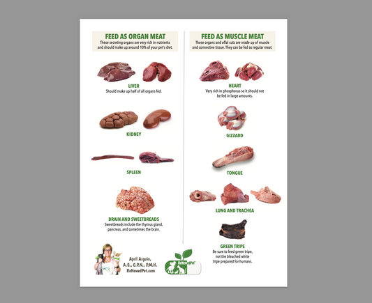 Best Organ Meats to Feed Your Pets