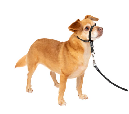 Petsafe Gentle Leader® Headcollar, No-Pull Dog Collar Black Small
