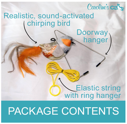 Caroline's Cats Plush Chirping Bird Cat Toy on Elastic String with Doorway Hanger - No Flimsy Suction Cups; Real Electronic Avian Sounds