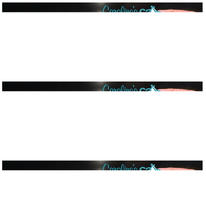 Caroline's Cats Organic Catnip Packets for Cat Toys – Refill Pouches for Flapping Bird, Flopping Fish, and More, 10 Tea Bags