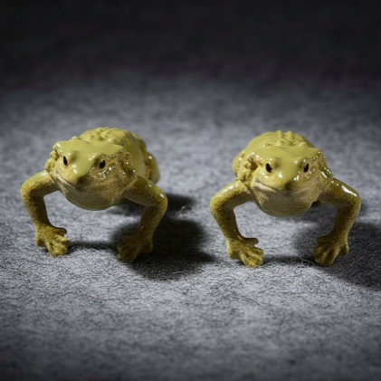Bearded Dragon Earrings