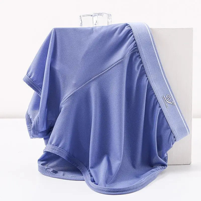 WJ Sexy Sleep Bottoms Men Arrow Shorts Ice Silk Mesh Breathable Underwear Boxers Shorts