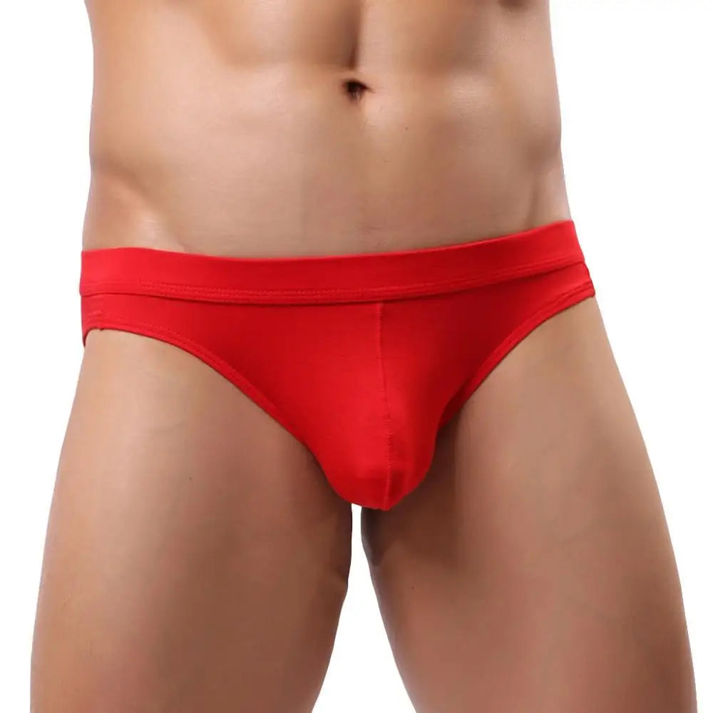 YUYANG Brand Underwear Men's Supersoft Modal Briefs Low Rise Sexy Comfortable Underpants Briefs for Man