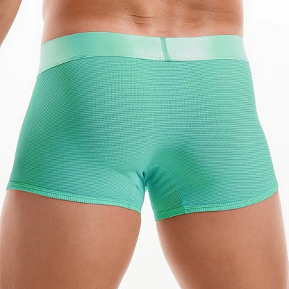 Shiny Waist Trunks