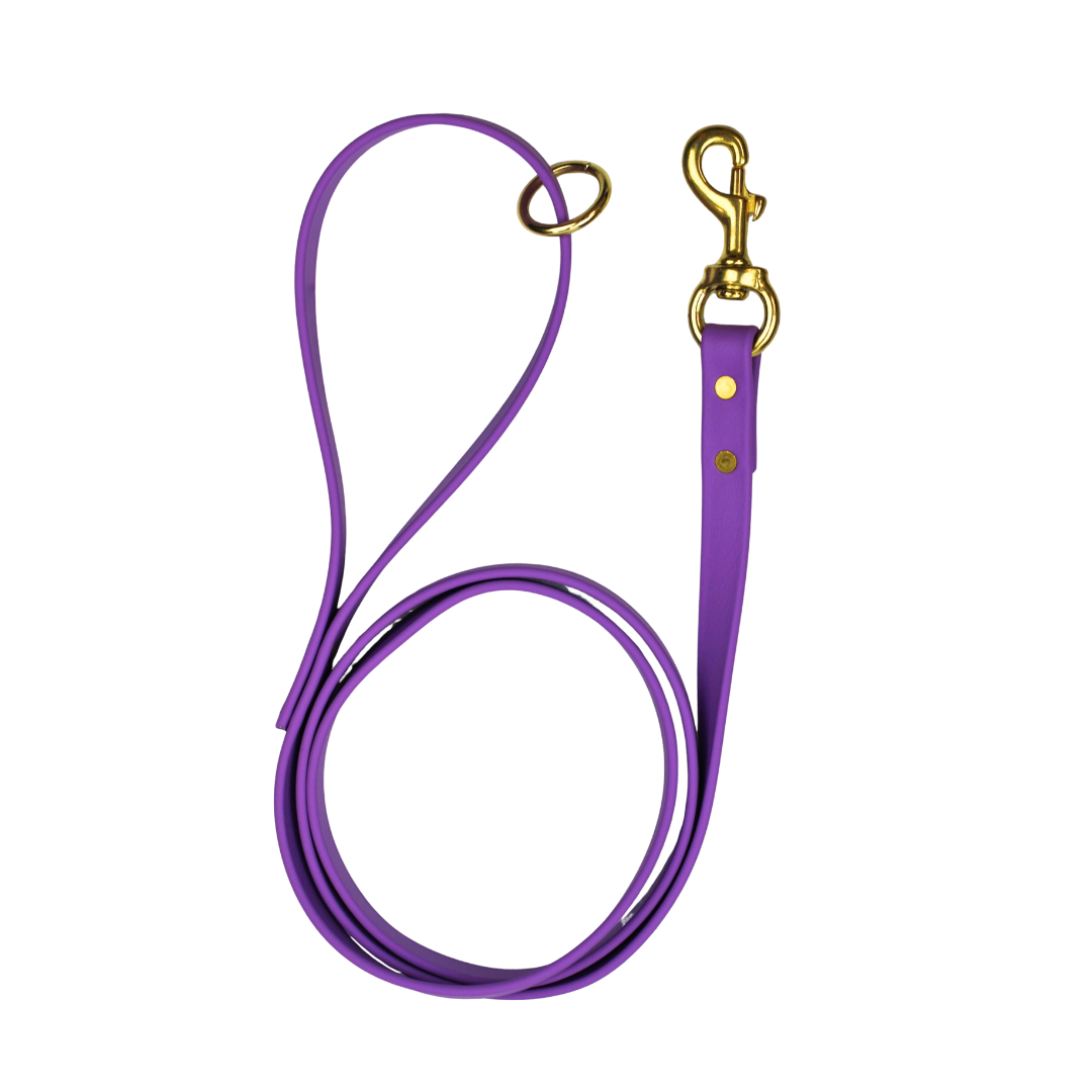 Taro Tango Biothane Leash