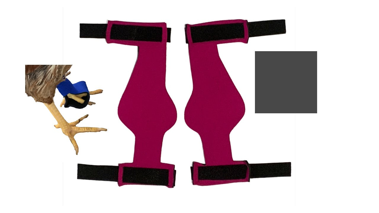 Birdy Bootie (chicken shoes, chicken booties, duck booties and goose shoes) - Triathlete Store