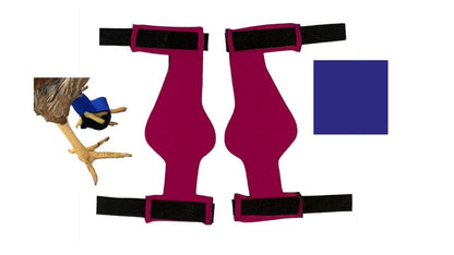 Birdy Bootie (chicken shoes, chicken booties, duck booties and goose shoes) - Triathlete Store