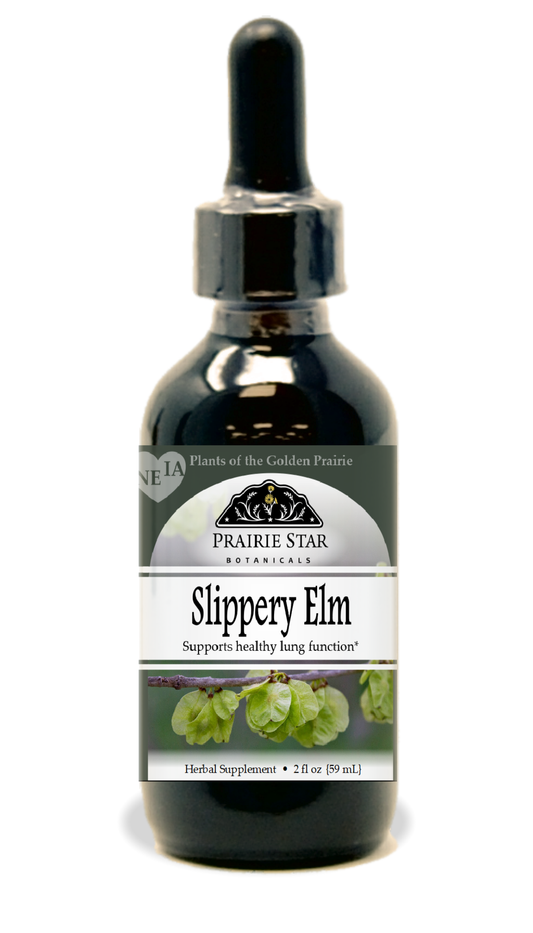 Slippery Elm