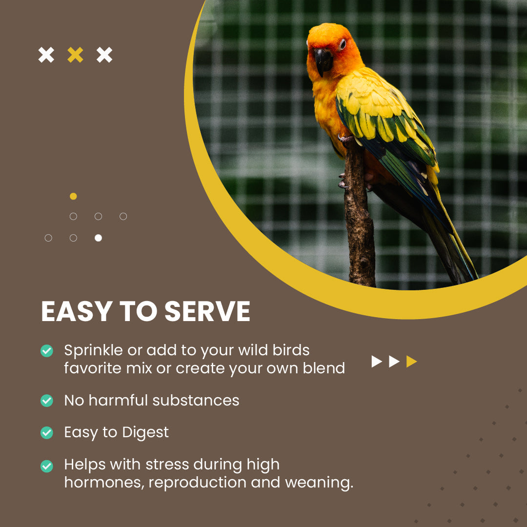 Hulled Millet - 5 lbs.