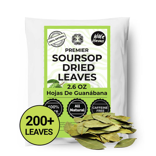 200+ Whole Dried Soursop Leaves – 2.6 oz , 100% Natural Soursop Tea (Graviola Leaves), Caffeine-Free Herbal Tea (Hoja Guanabana) - Triathlete Store