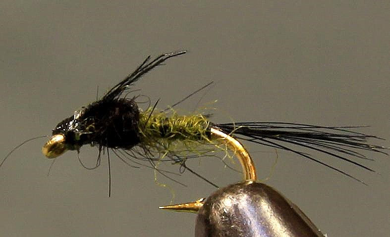 Split Foam Back™ Midges