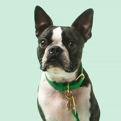 Spring Collar