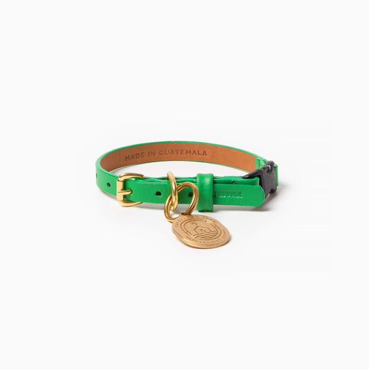 Spring Cat Collar