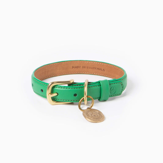 Spring Collar