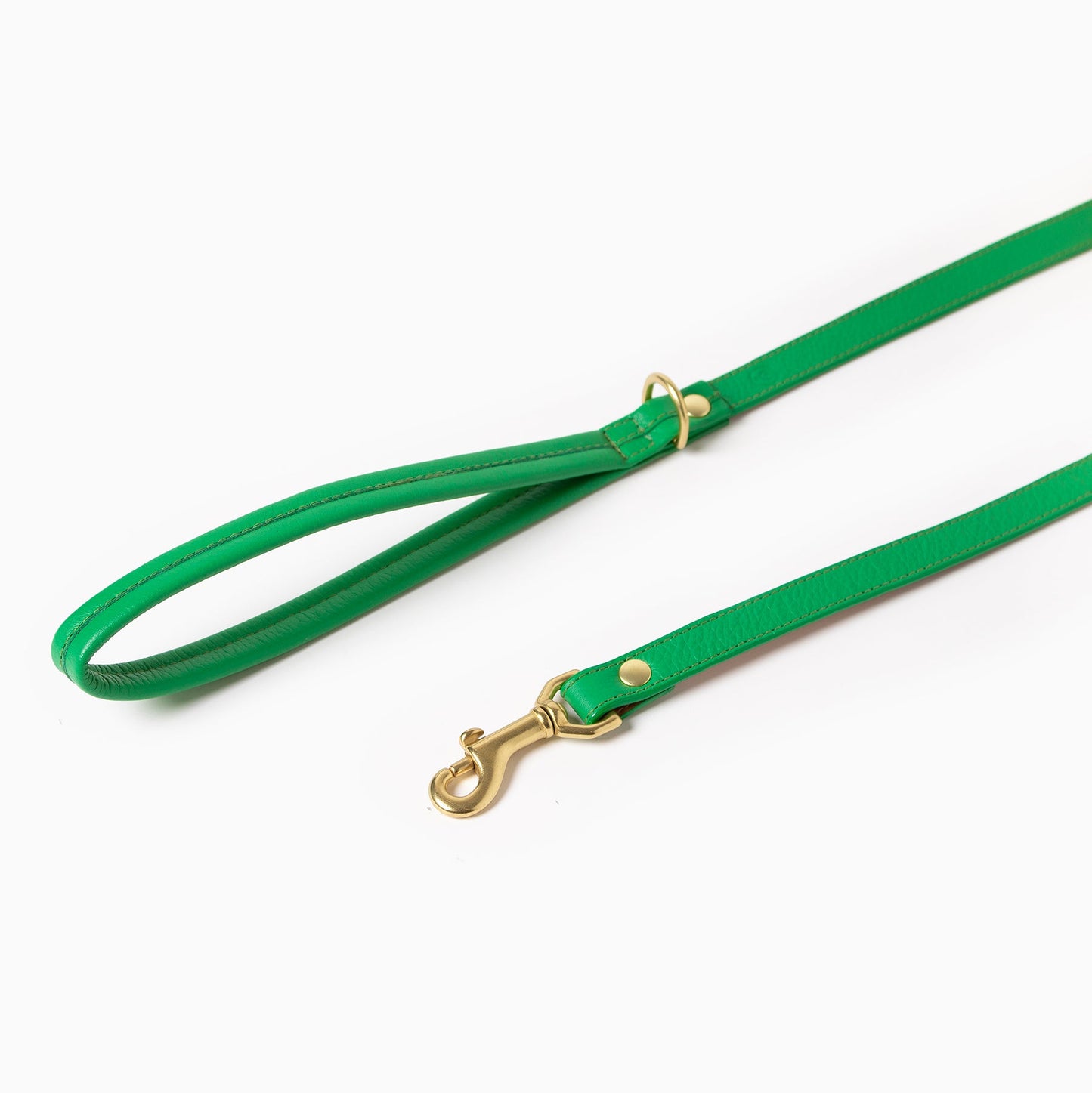 Spring Leash