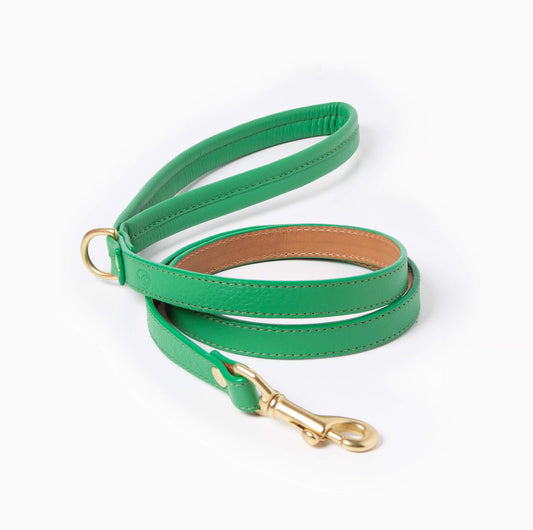 Spring Leash