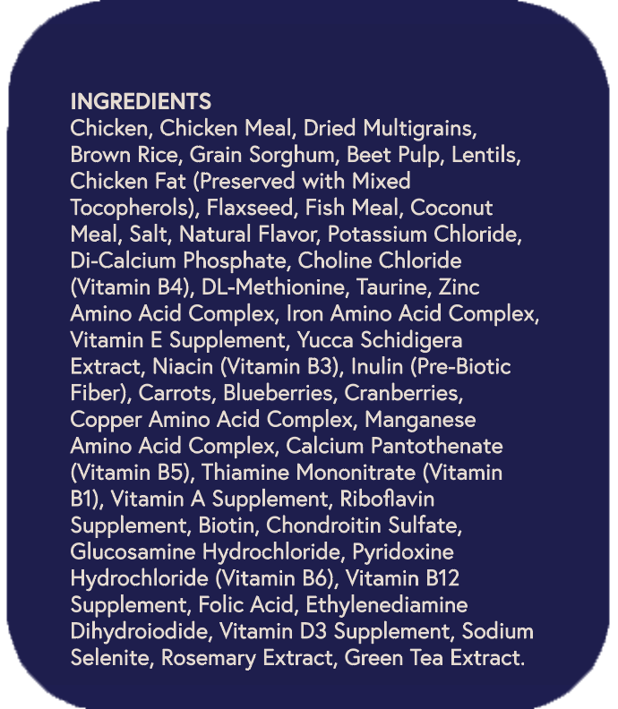 Senior Chicken & Multigrain Recipe