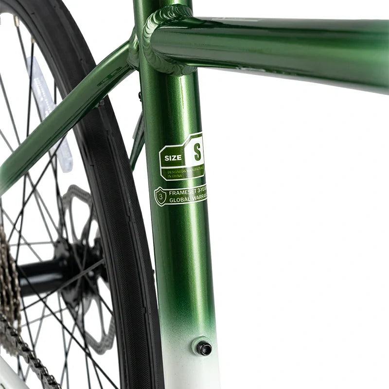 Teen 22-Inch Road Bike