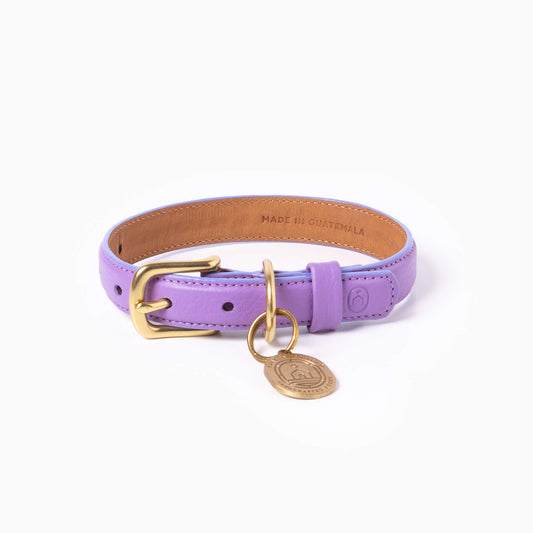 Fairy Collar