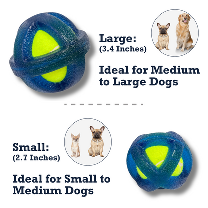 TPR-Coated Agility Tennis Ball Dog Toy – Durable & Pet-Safe