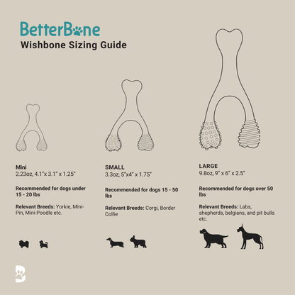 BetterBone MODERATE Chew Toy