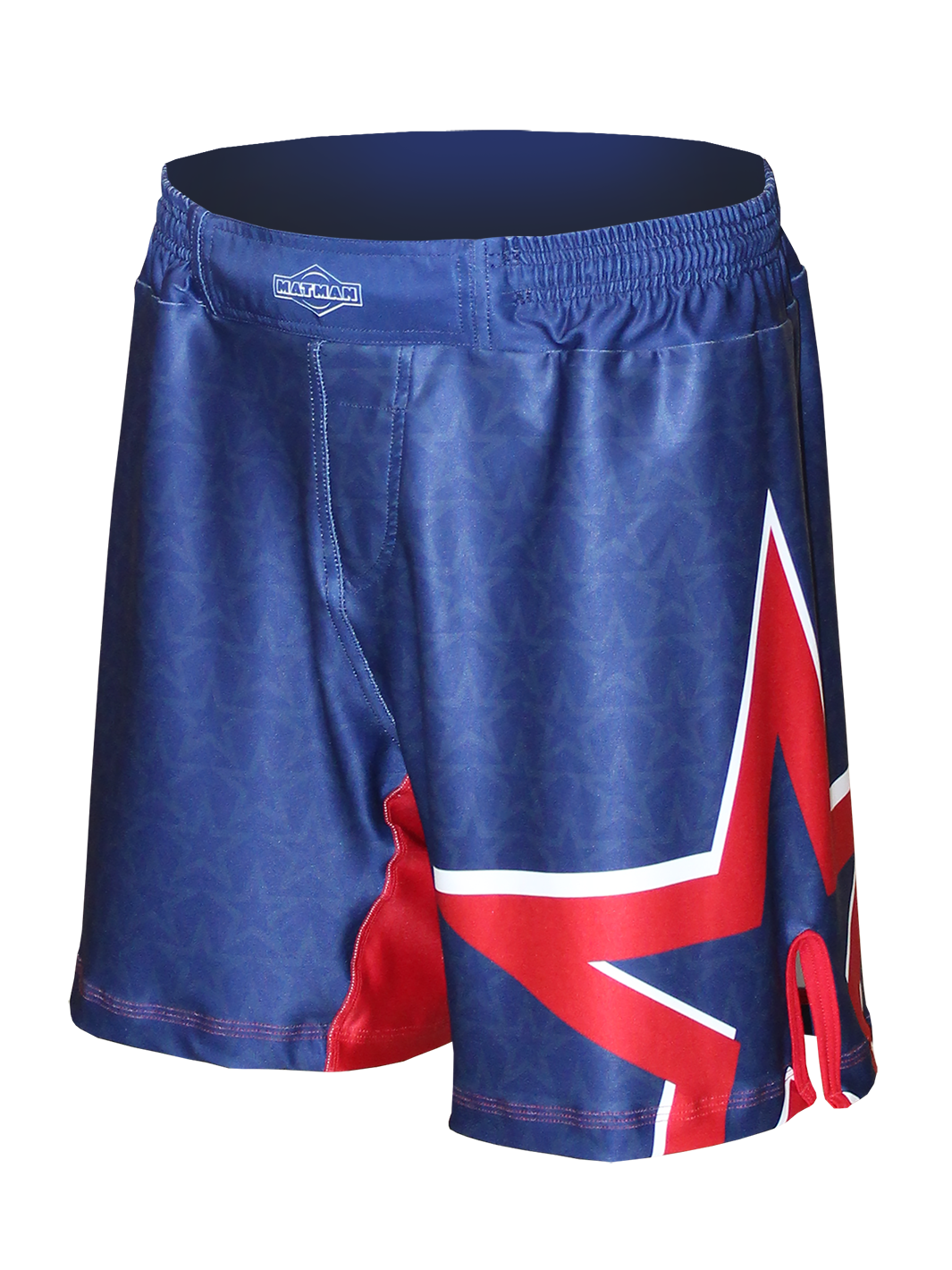 The U.S.A. Stars Fight Shorts