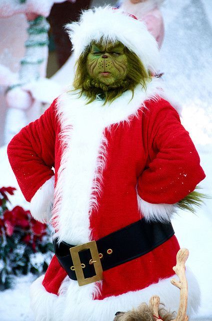The Mean One Grinch Christmas Costume Coat With Free Cap