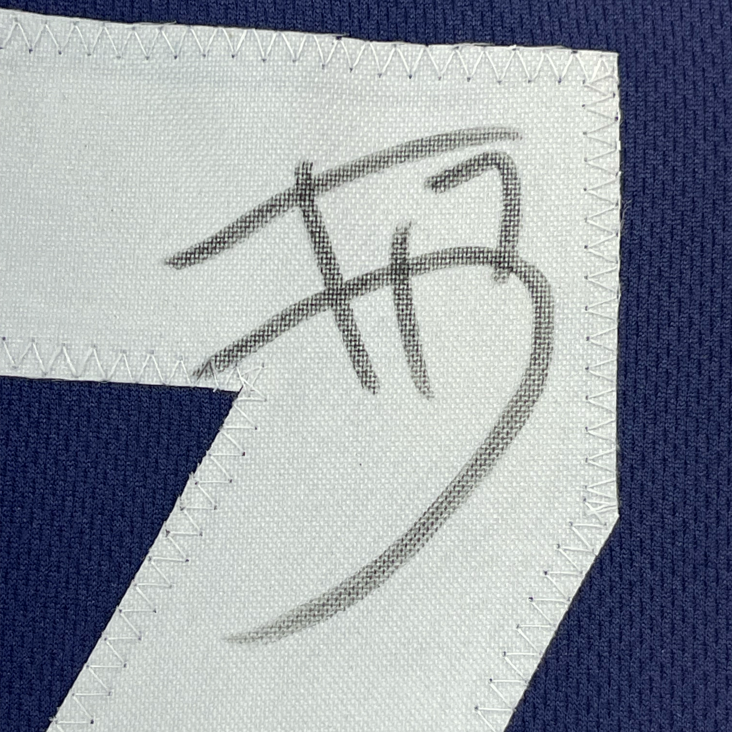 Framed Autographed/Signed Trevon Diggs 35x39 Dallas Thanksgiving Day Football Jersey JSA COA