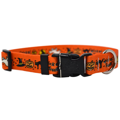 Trick or Treat  Dog Collar