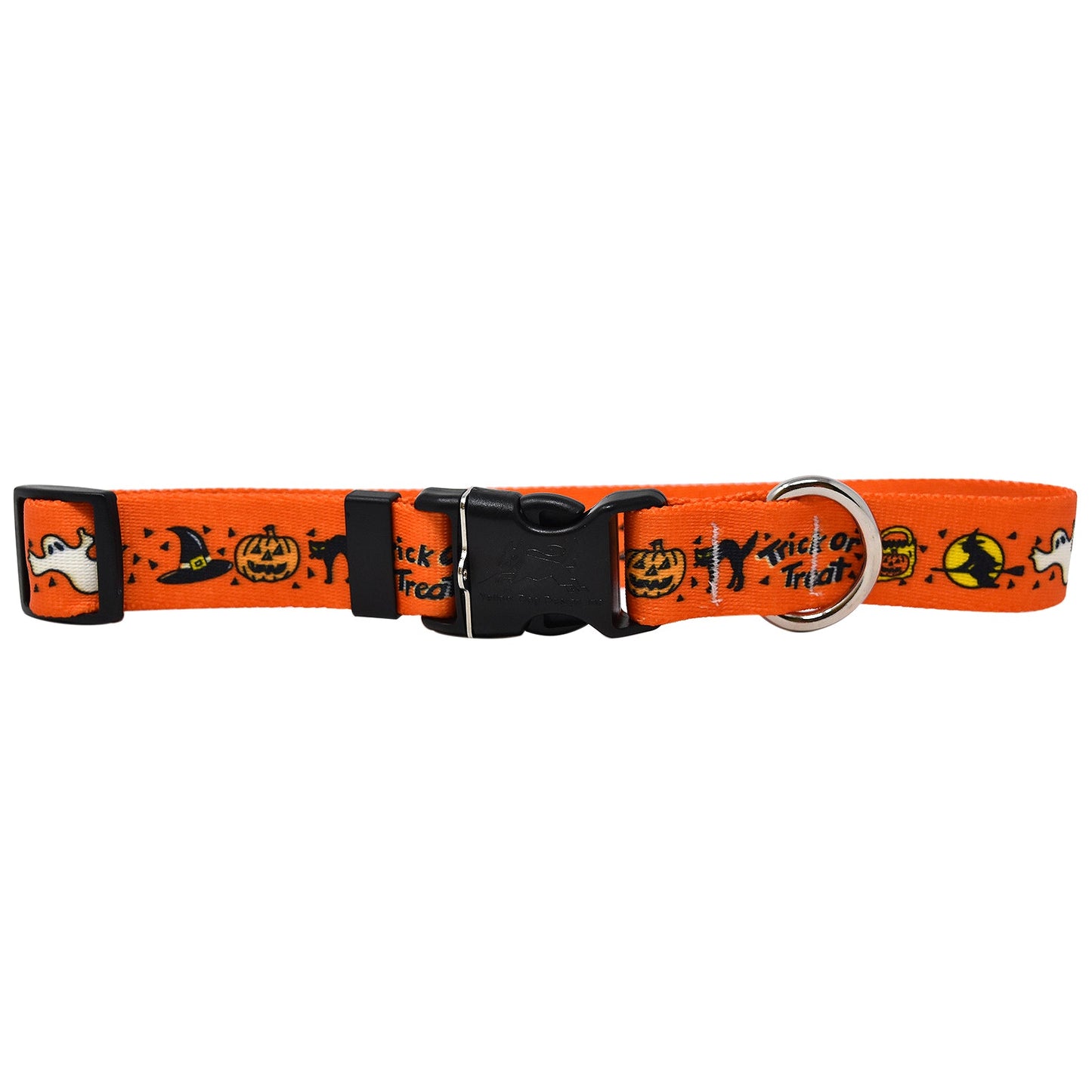 Trick or Treat  Dog Collar