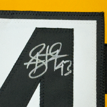 Framed Autographed/Signed Troy Polamalu 35x39 Pittsburgh Bumble Bee Football Jersey Beckett BAS COA