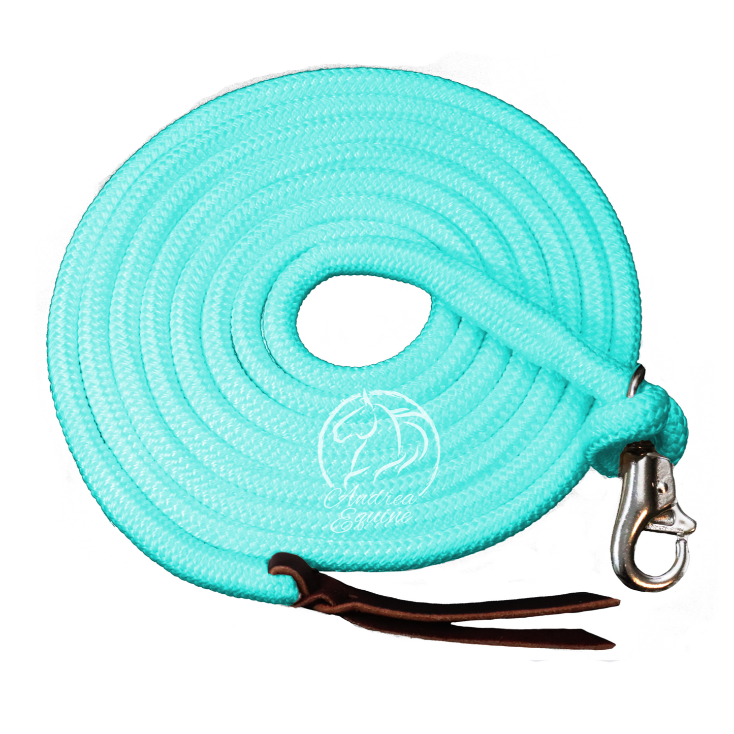 14 Ft Clinician Weighted Lead Rope w/ Snap
