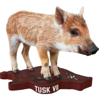 Arkansas Razorbacks Mascot Bobbleheads