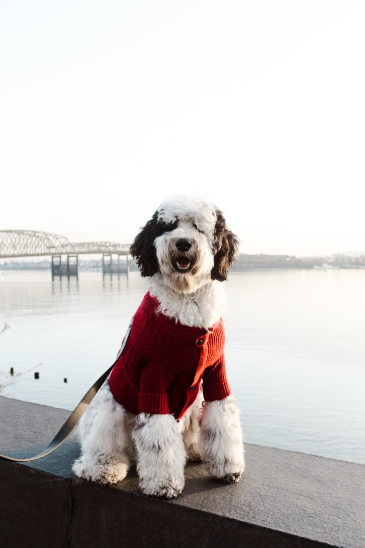 Brooklyn Cashmere Cardigan, Garnet