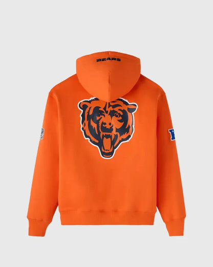 Unisex Chicago Bears Icon Team Hoodie
