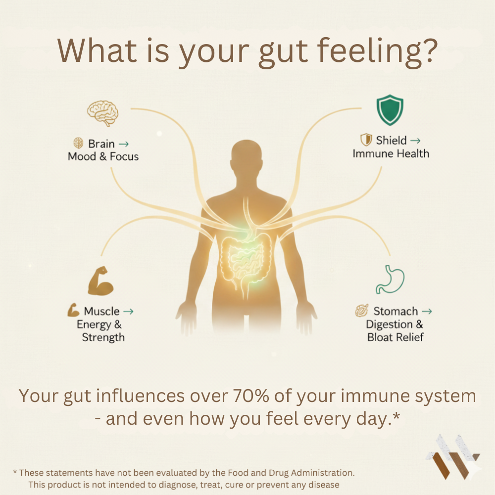 Probiotic 40 Billion CFU with Prebiotics - Natural Digestive Support