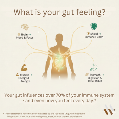 Probiotic 40 Billion CFU with Prebiotics - Natural Digestive Support