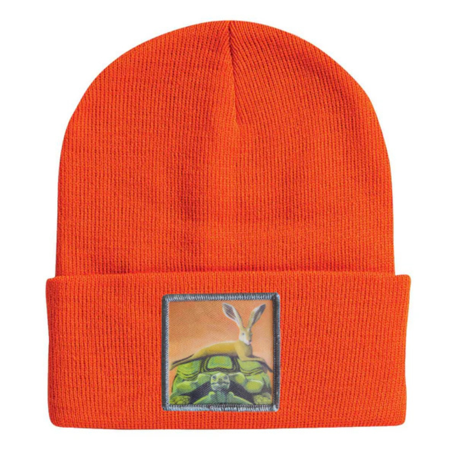 The Tortoise By a Hare Beanie