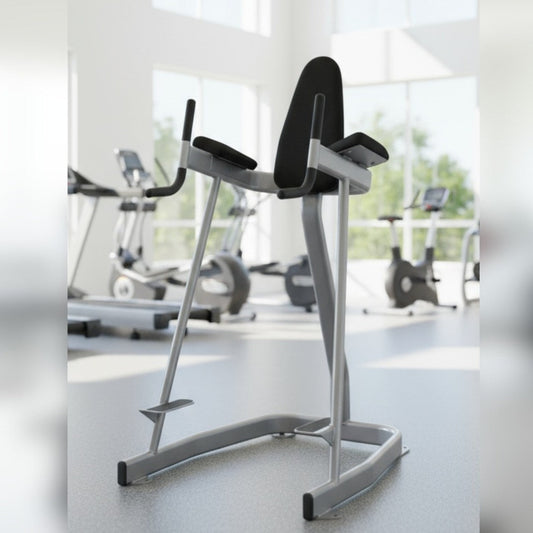 Vertical Knee Raise - Elite Series - Muscle D Fitness - Sturdy Vertical Knee Raise