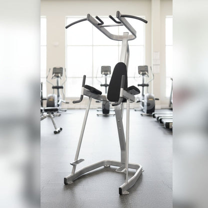 Vertical Knee Raise with Pull Up Station - Muscle D Fitness - Commercial