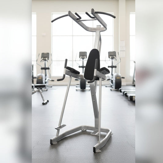 Vertical Knee Raise with Pull Up Station - Muscle D Fitness - Commercial