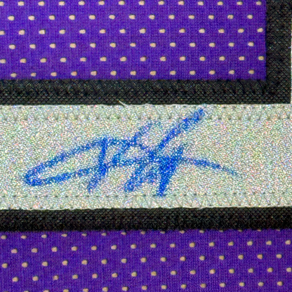 Framed Autographed/Signed Vince Carter 35x39 Toronto Purple Basketball Jersey PSA/DNA COA