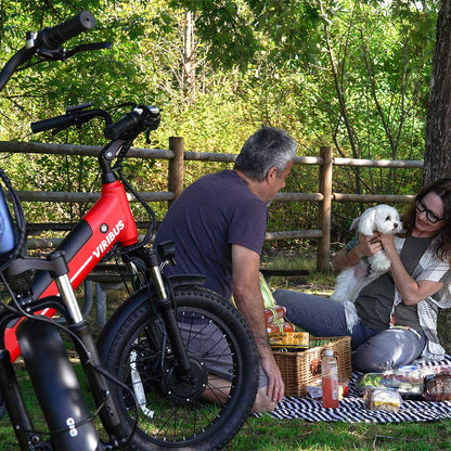 Viribus SC5 Fat Tire Electric Tricycle