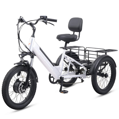 Viribus SC5 Fat Tire Electric Tricycle