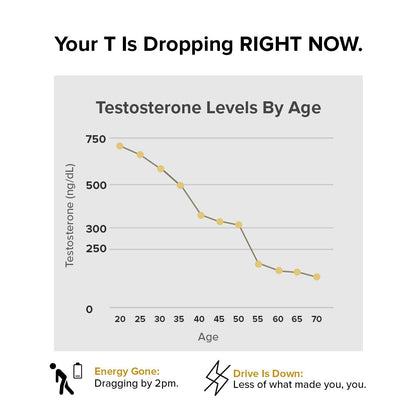 Nature's Lab Gold Vital Testosterone - 90 Capsules