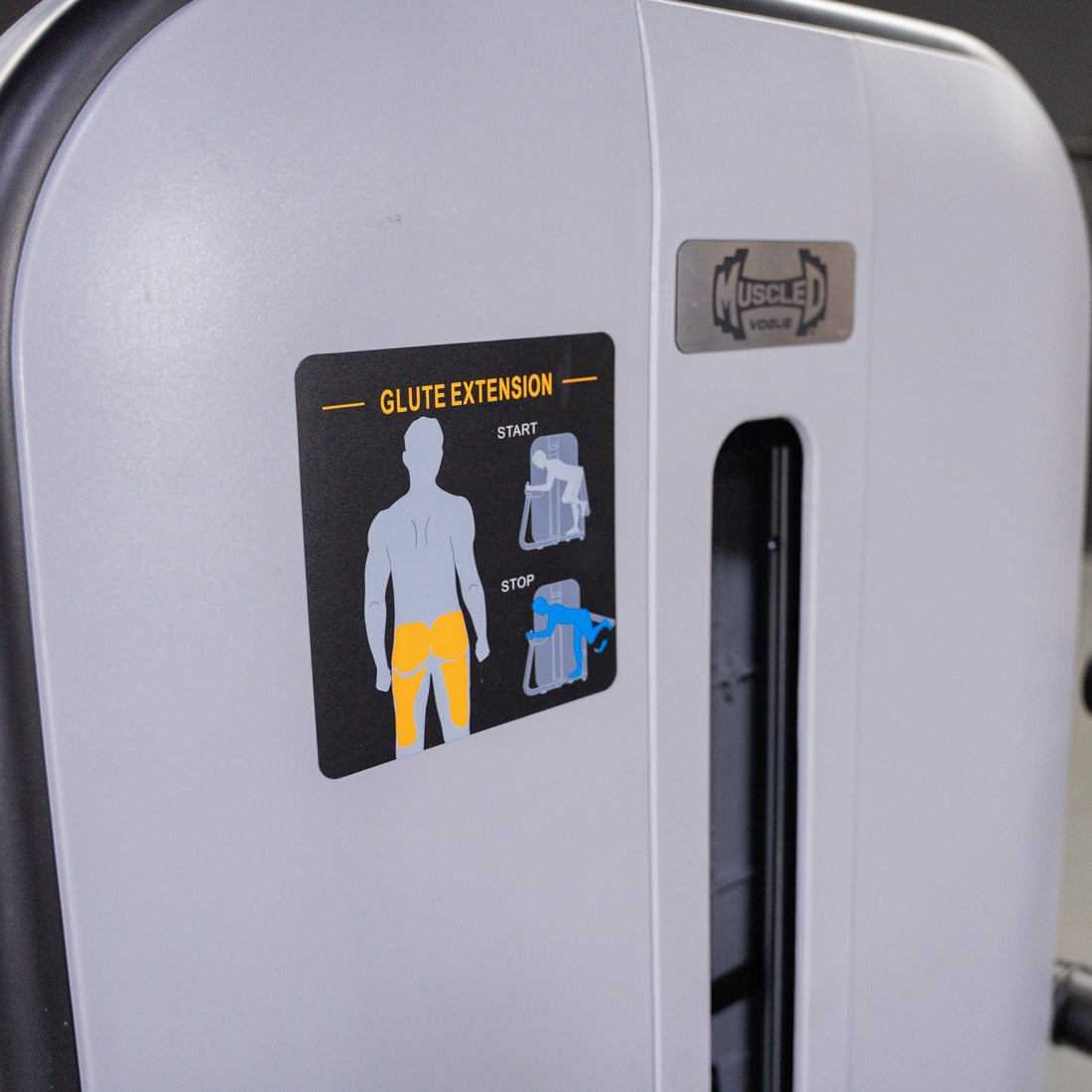 Vogue Glute Extension Machine | Muscle D Fitness Commercial Gym