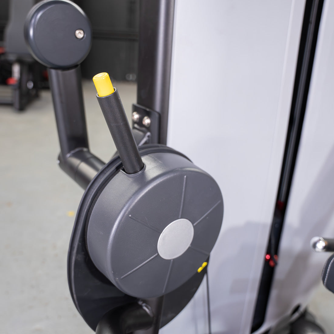 Vogue Seated Leg Curl | Commercial Hamstring Machine | MDF